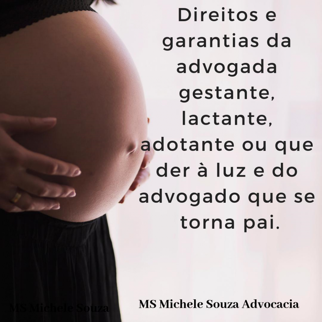 MS Michele souza advocacia